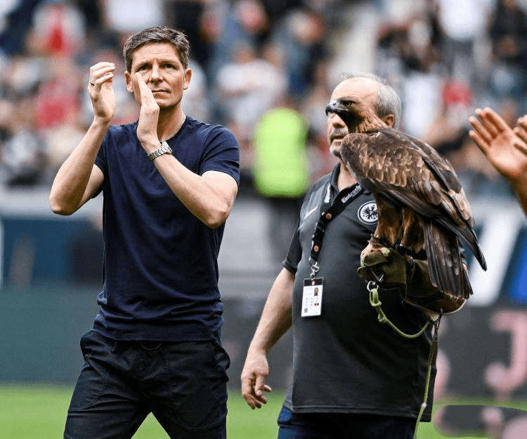 米乐在线登录太狠了!夏洛特黄蜂今晨豪取连胜苏炳添怒砍33分,法兰克福今夜官宣签约(米娜和三个孩子3321集)